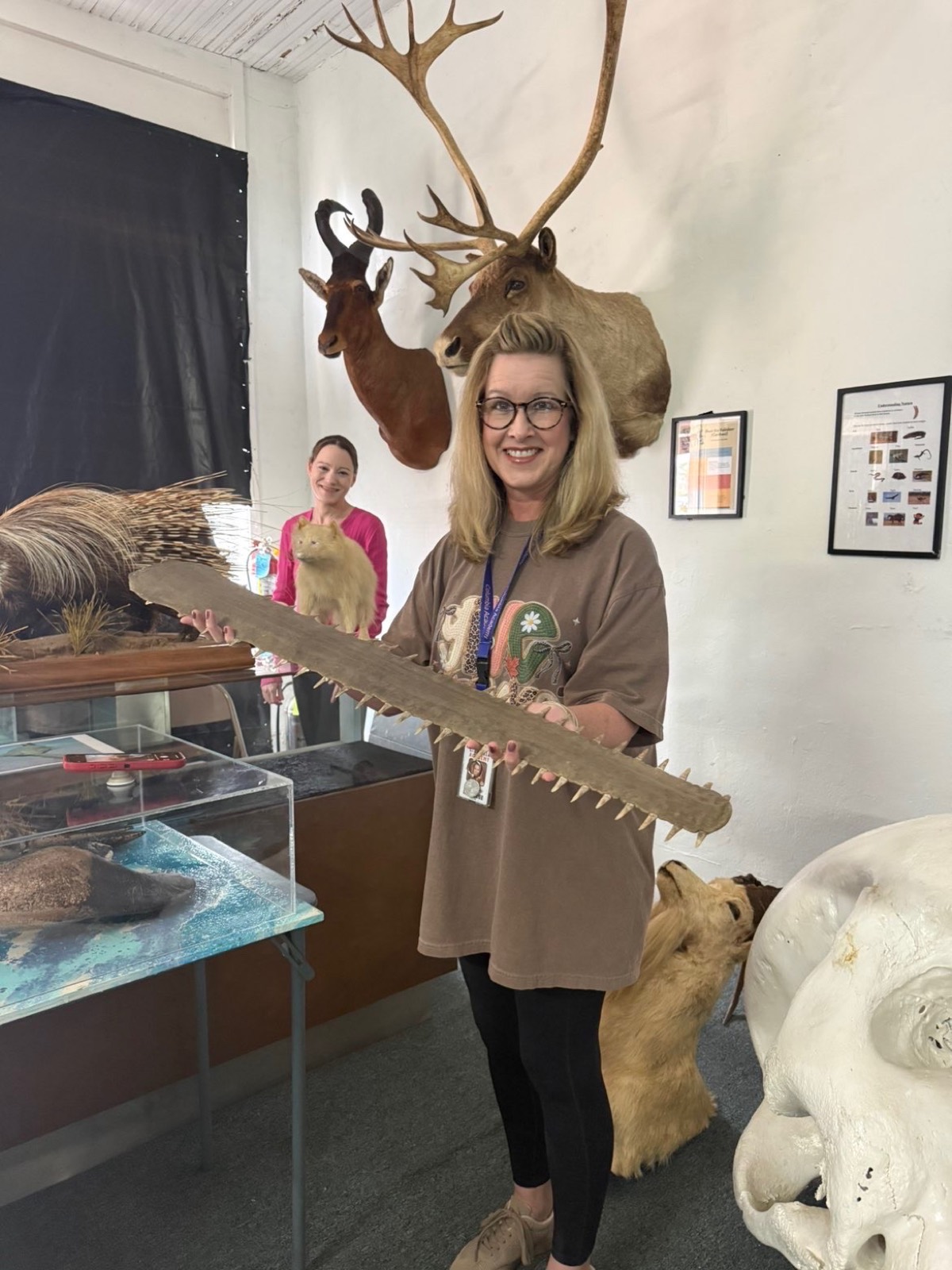 A visitor holding the museum's sawfish rostrum with both hands, mounts and a bear skull behind her